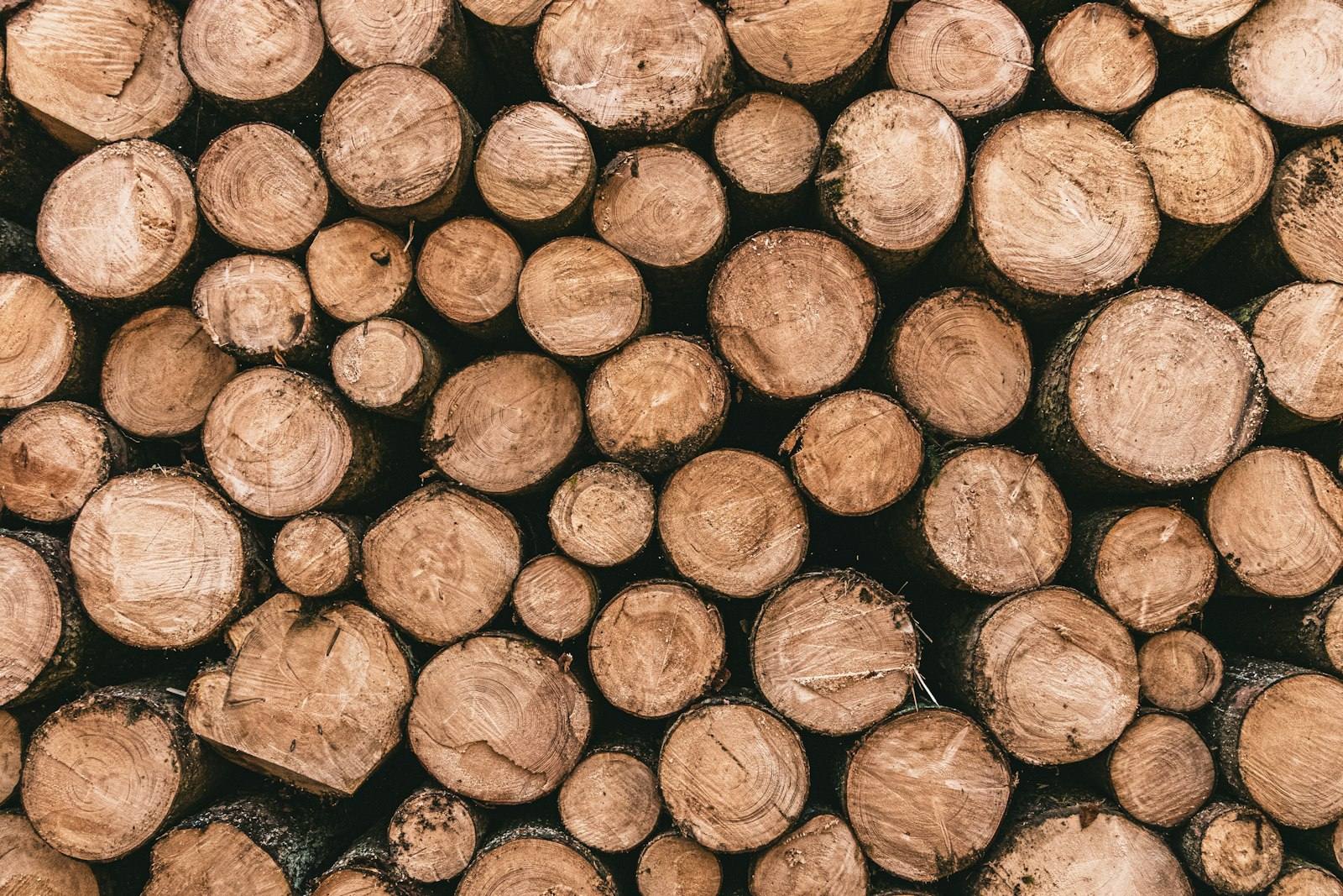 Close-up of split firewood logs stacked together
